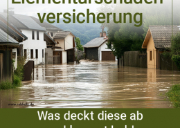 Elementarschadenversicherung. Bild zeigt eine überschwemmte Dorfstraße.